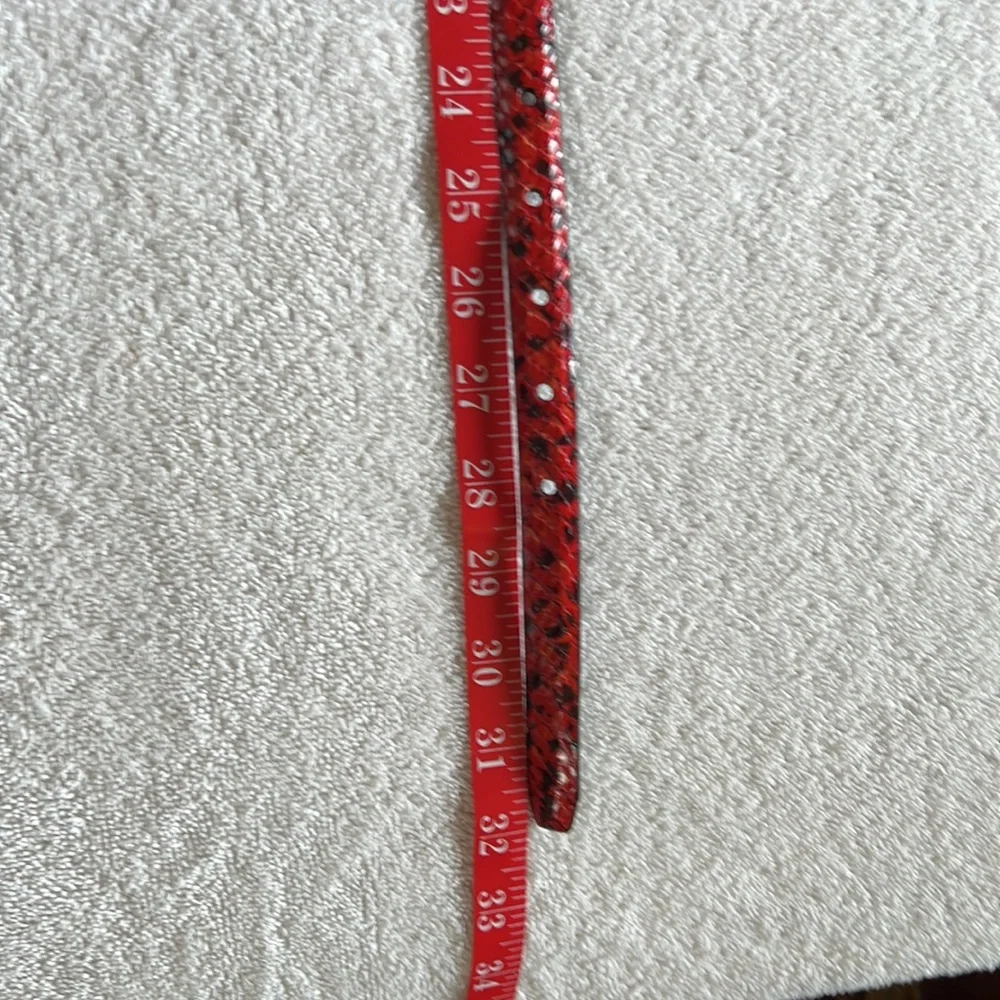Brighton Red and Black Belt